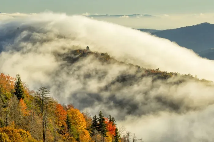 Framed Print : Autumn Colors and mist at sunrise, Blue Ridge Mountains from Blue Ridge Parkway at sunrise Framed Print : Autumn Colors and mist at sunrise, Blue Ridge Mountains from Blue Ridge Parkway at sunrise