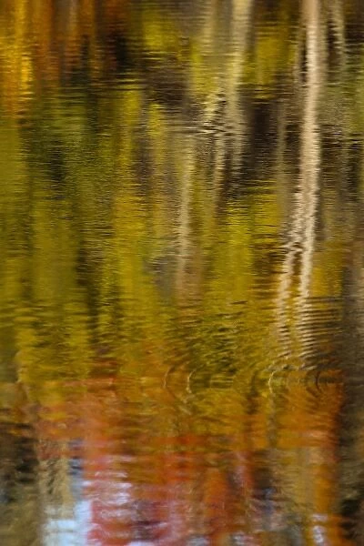 Autumn colors reflect in the calm water of Price Lake along the Blue Ridge Parkway