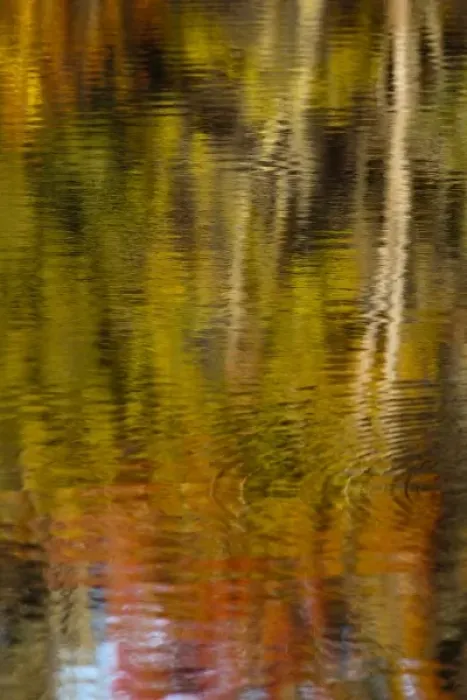 Framed Print : Autumn colors reflect in the calm water of Price Lake along the Blue Ridge Parkway Framed Print : Autumn colors reflect in the calm water of Price Lake along the Blue Ridge Parkway