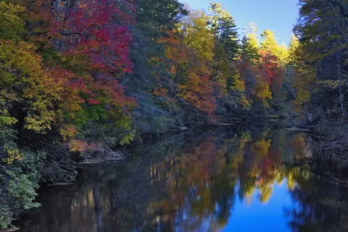 Framed Print : Autumn colors reflected on Linville River, Linville Gorge often called the Grand Framed Print : Autumn colors reflected on Linville River, Linville Gorge often called the Grand