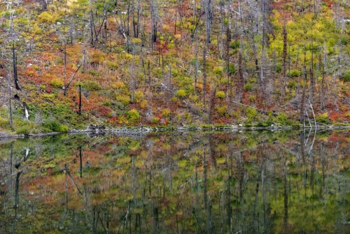 Framed Print : Autumn colors reflecting into Lost Lake in Glacier National Park, Montana, USA Framed Print : Autumn colors reflecting into Lost Lake in Glacier National Park, Montana, USA