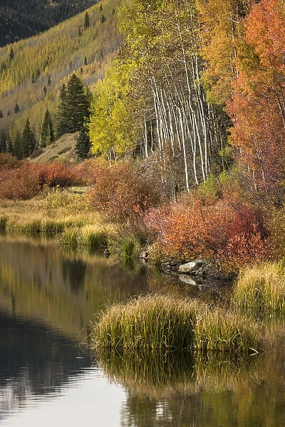 Autumn colors on shoreline of Crystal Lake at sunrise, Uncompahgre National Forest