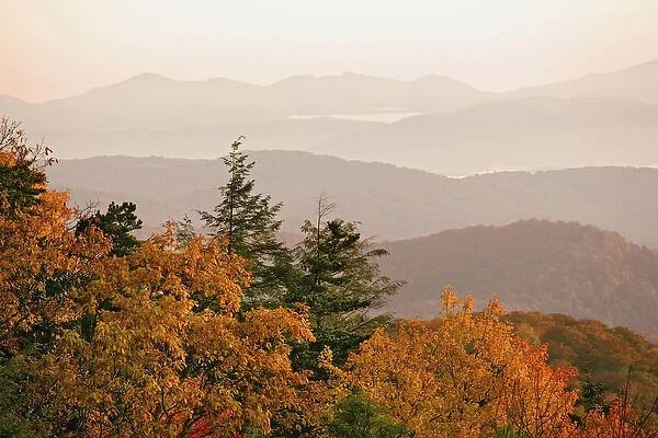 Autumn colors in the southern Appalachian Mountains at sunrise, from Blue Ridge Parkway