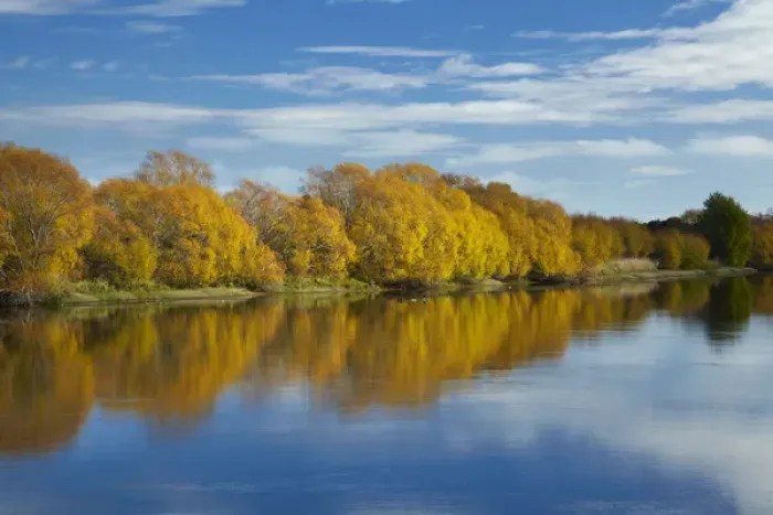 Framed Print : Autumn colour and Clutha River at Kaitangata, near Balclutha, South Otago, South Island Framed Print : Autumn colour and Clutha River at Kaitangata, near Balclutha, South Otago, South Island