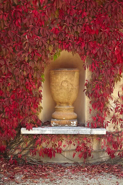 Autumn colour at the Italian Renaissance Garden, Hamilton Gardens, Hamilton, Waikato