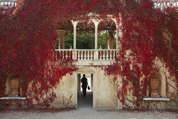 Autumn colour at the Italian Renaissance Garden, Hamilton Gardens, Hamilton, Waikato