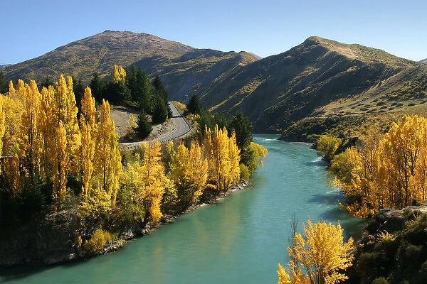 Autumn Colours, Kawarau River, Kawarau Gorge, South Island, New Zealand
