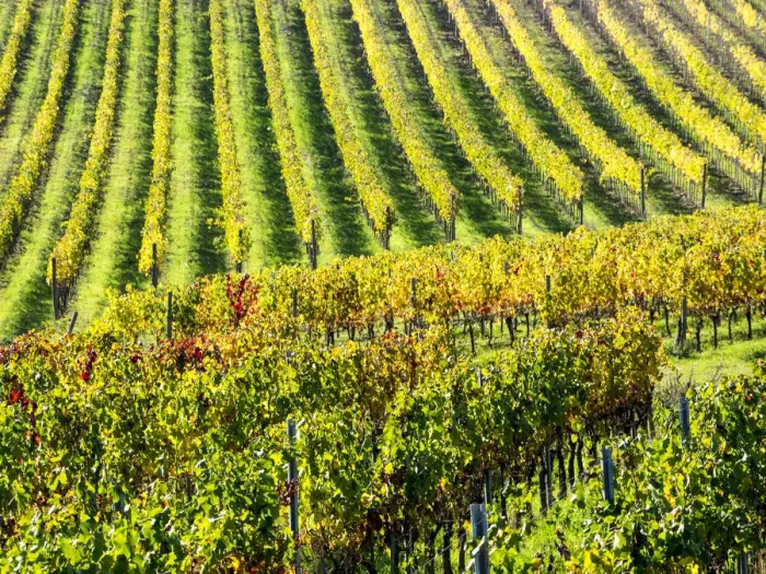 Framed Print : Autumn fields leading to the city of Montepulciano