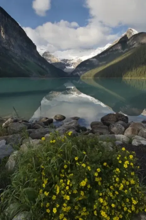 Framed Print : Autumn flowers along the shore of Lake Louise, Banff National Park, Banff, Canada Framed Print : Autumn flowers along the shore of Lake Louise, Banff National Park, Banff, Canada