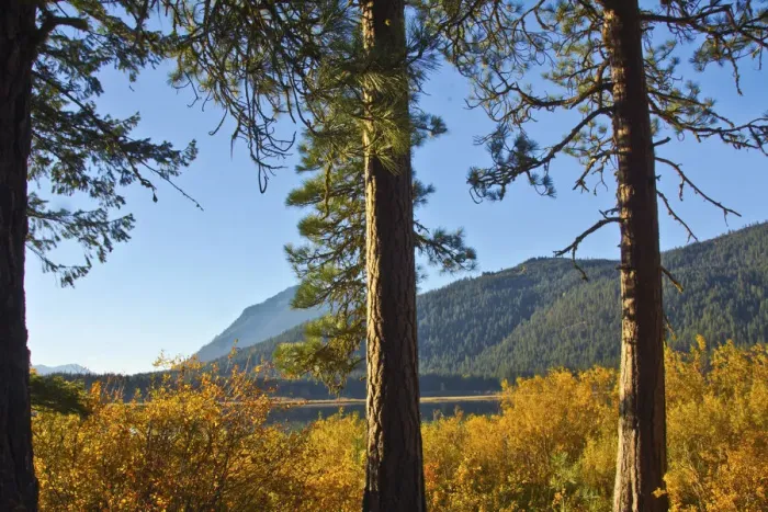 Framed Print : Autumn foliage, Fish Lake, Wenatchee National Forest, Washington State, USA Framed Print : Autumn foliage, Fish Lake, Wenatchee National Forest, Washington State, USA