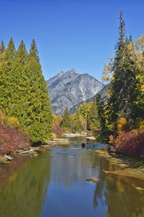 Framed Print : Autumn foliage, White River, Wenatchee National Forest, Washington State, USA Framed Print : Autumn foliage, White River, Wenatchee National Forest, Washington State, USA