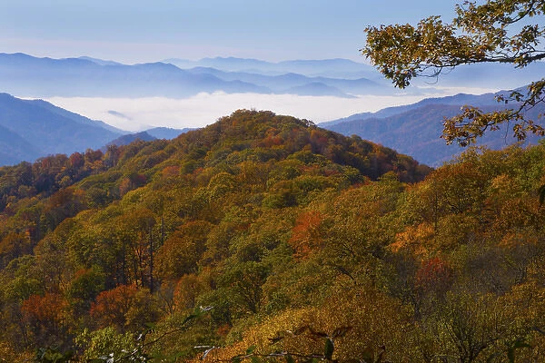 Autumn in the Great Smoky Mountain National Park, Tennessee