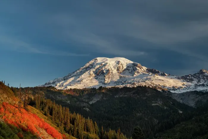 Framed Print : Autumn huckleberry bushes and Mount Rainier n Mount Rainier National Park, Washington State, USA Framed Print : Autumn huckleberry bushes and Mount Rainier n Mount Rainier National Park, Washington State, USA