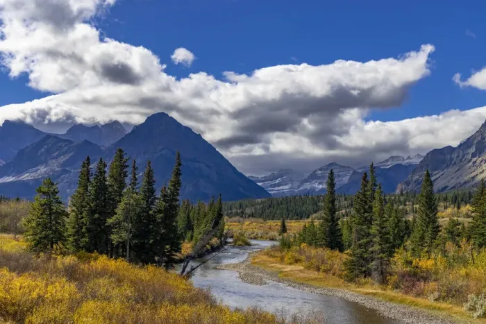 Framed Print : Autumn hues along the Belly River in Glacier National Park, Montana, USA