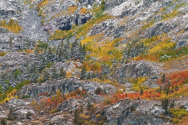 Autumn hues and fresh powder, John Muir Wilderness, Sierra Nevada Mountains, California