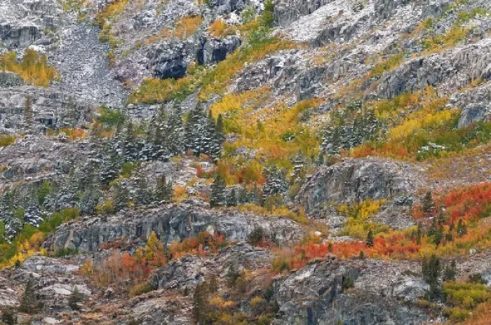 Framed Print : Autumn hues and fresh powder, John Muir Wilderness, Sierra Nevada Mountains, California