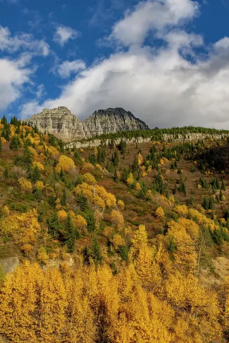 Framed Print : Autumn hues below The Garden Wall in Glacier National Park, Montana, USA Framed Print : Autumn hues below The Garden Wall in Glacier National Park, Montana, USA