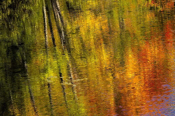 Autumn hues relfect into the Dead River near Marquette, Michigan USA
