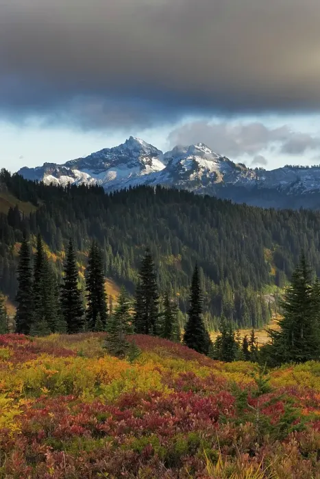 Framed Print : Autumn hues with the Tatoosh Range in Mount Rainier National Park, Washington State, USA