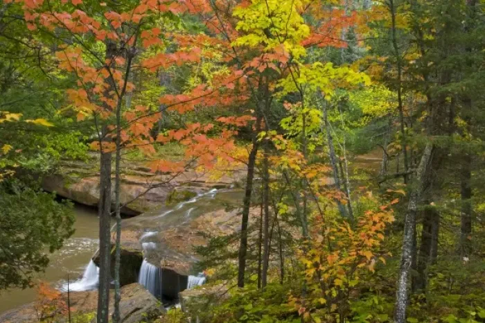 Framed Print : Autumn maple trees frame O Kun De Kun Falls on the Baltimore River in the Ottawa Framed Print : Autumn maple trees frame O Kun De Kun Falls on the Baltimore River in the Ottawa
