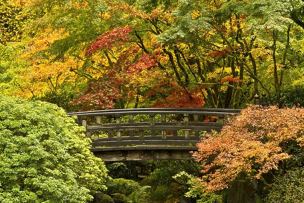 autumn, Moon Bridge, Portland Japanese Garden, Portland, Oregon, USA