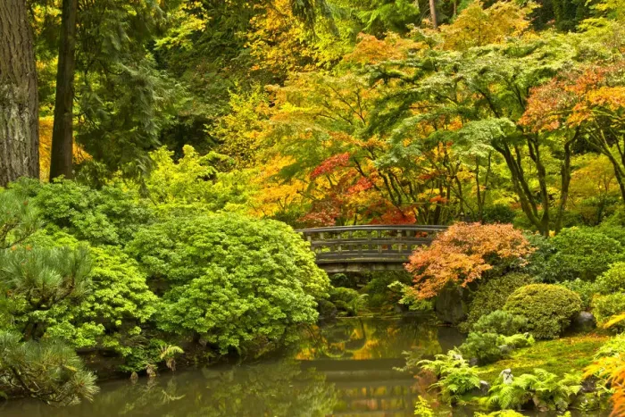 Framed Print : autumn, Moon Bridge, Portland Japanese Garden, Portland, Oregon, USA Framed Print : autumn, Moon Bridge, Portland Japanese Garden, Portland, Oregon, USA