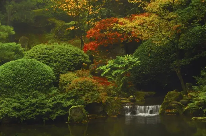 Framed Print : Autumn at the Portland Japanese Garden: Portland, Oregon, USA Framed Print : Autumn at the Portland Japanese Garden: Portland, Oregon, USA