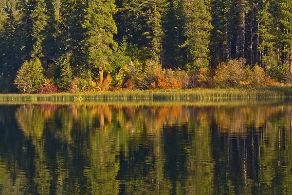 Autumn reflection, Fish Lake, Wenatchee National Forest, Washington State, USA