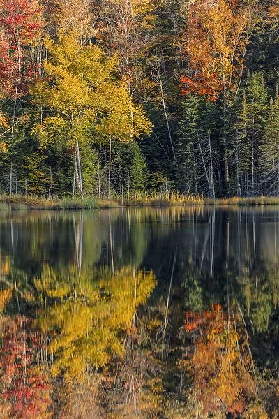 Autumn reflection, Upper Peninsula of Michigan