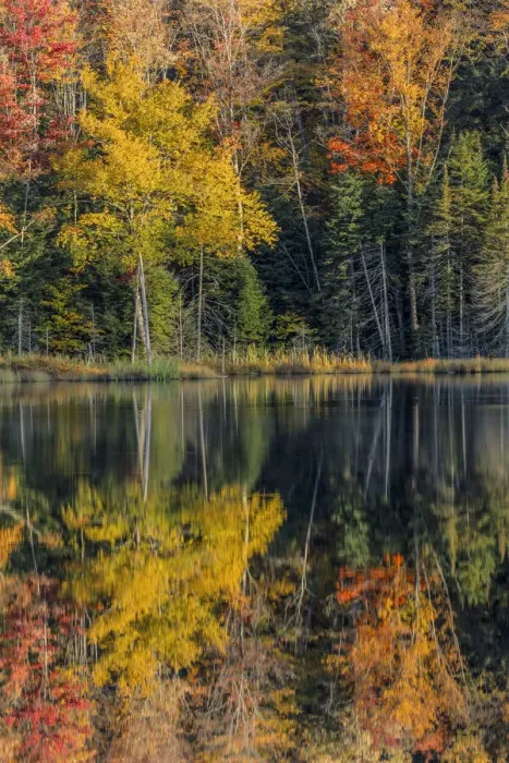 Framed Print : Autumn reflection, Upper Peninsula of Michigan Framed Print : Autumn reflection, Upper Peninsula of Michigan