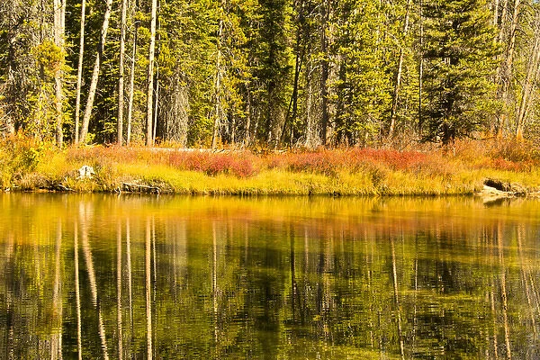 Autumn Reflections; Alturus Lake Inlet; Sawtooth Natiuonal Forest; Idaho; USA