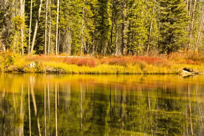 Framed Print : Autumn Reflections; Alturus Lake Inlet; Sawtooth Natiuonal Forest; Idaho; USA Framed Print : Autumn Reflections; Alturus Lake Inlet; Sawtooth Natiuonal Forest; Idaho; USA