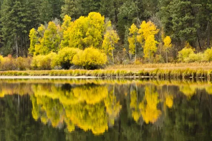 Framed Print : autumn reflections, Aspen Camp, Deschutes River, Deschutes National Forest, Oregon, USA