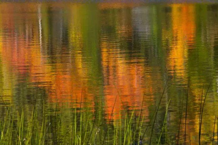 Framed Print : Autumn Reflections, Bubble Pond, Acadia National Park, Maine, USA Framed Print : Autumn Reflections, Bubble Pond, Acadia National Park, Maine, USA