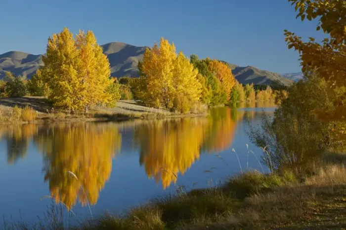 Framed Print : Autumn reflections in Kellands Pond, near Twizel, Mackenzie District, South Canterbury