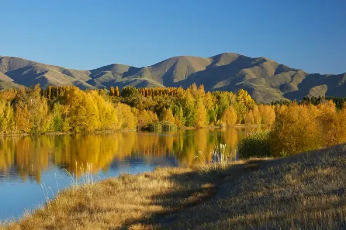 Framed Print : Autumn reflections in Kellands Pond, near Twizel, Mackenzie District, South Canterbury Framed Print : Autumn reflections in Kellands Pond, near Twizel, Mackenzie District, South Canterbury