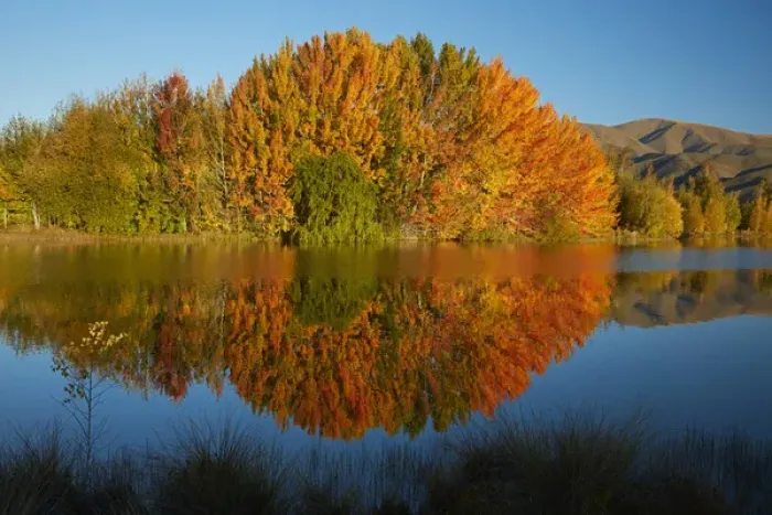 Framed Print : Autumn reflections in Kellands Pond, near Twizel, Mackenzie District, South Canterbury