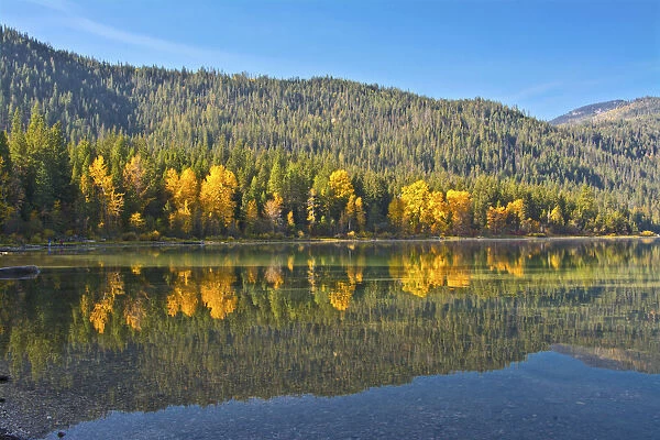Autumn reflections, Lake Wenatchee, Wenatchee National Forest, Washington State, USA