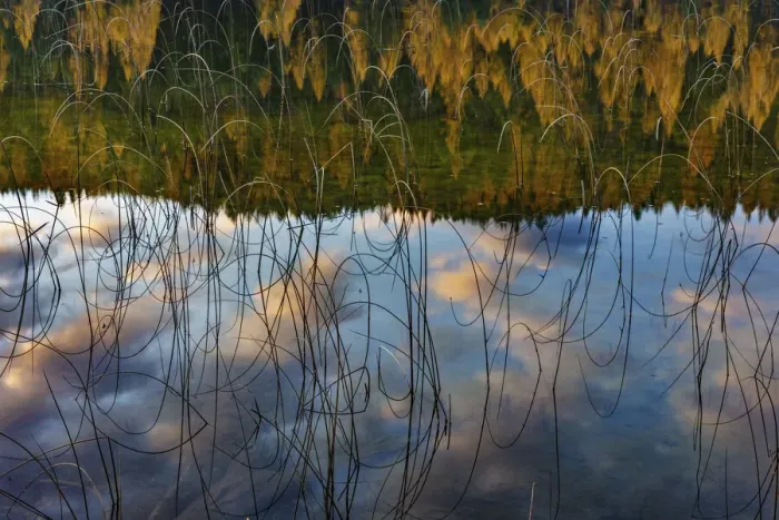 Framed Print : Autumn reflections in Spencer Lake near Whitefish, Montana, USA Framed Print : Autumn reflections in Spencer Lake near Whitefish, Montana, USA