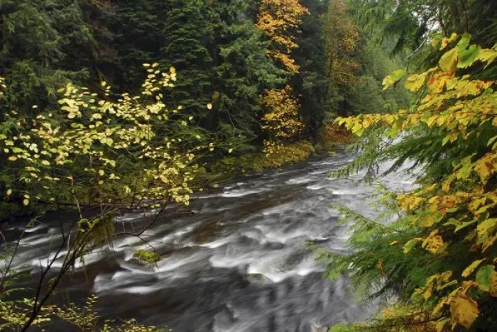 Framed Print : Autumn, Salmon River, Oregon, USA Framed Print : Autumn, Salmon River, Oregon, USA