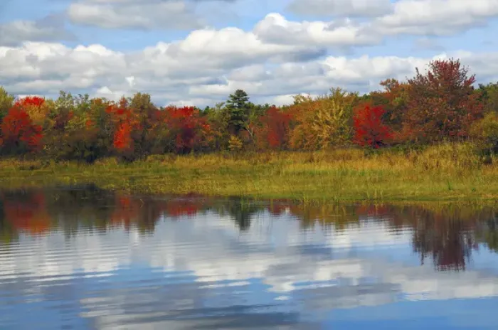 Framed Print : Autumn at Sebago Lake State Park, Raymond, Maine, USA