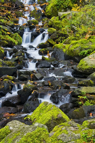 Autumn; Starvation Creek; Starvation Creek Falls; Columbia Gorhe. Oregon; USA
