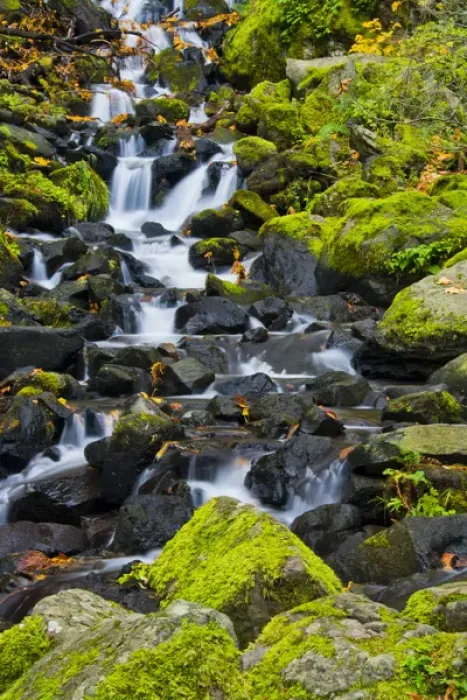 Framed Print : Autumn; Starvation Creek; Starvation Creek Falls; Columbia Gorhe. Oregon; USA Framed Print : Autumn; Starvation Creek; Starvation Creek Falls; Columbia Gorhe. Oregon; USA