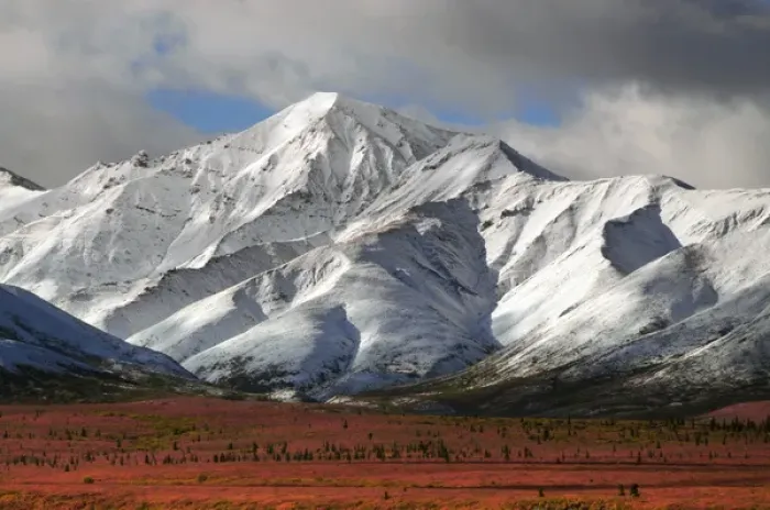 Framed Print : Autumn on the Taiga; Denali National Park; Alaska; USA Framed Print : Autumn on the Taiga; Denali National Park; Alaska; USA