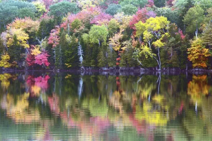 Framed Print : autumn trees; reflection; Great Long Pond; Somesville; Mount desert Island; Maine; USA Framed Print : autumn trees; reflection; Great Long Pond; Somesville; Mount desert Island; Maine; USA