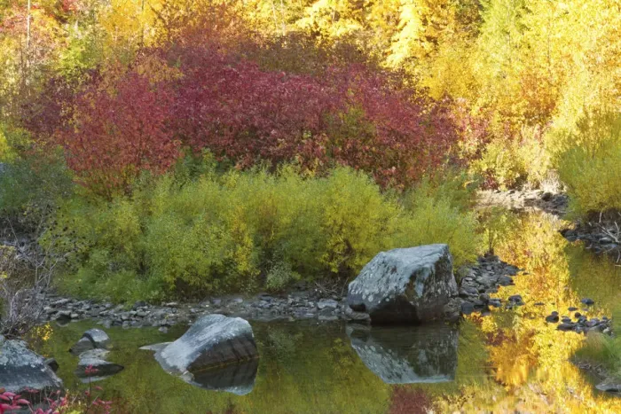 Framed Print : Autumn, Tumwater Canyon, Wenatchee National Forest, Washington State, USA