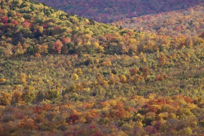 Framed Print : Autumn in Vermont Framed Print : Autumn in Vermont