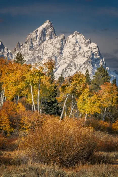 Framed Print : Autumn view of aspens and Teton Range, Grand Teton National Park, Wyoming Framed Print : Autumn view of aspens and Teton Range, Grand Teton National Park, Wyoming