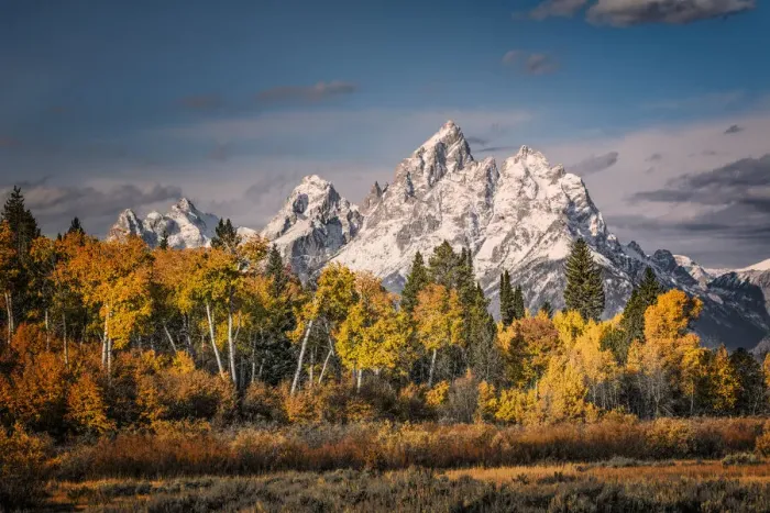Framed Print : Autumn view of aspens and Teton Range, Grand Teton National Park, Wyoming Framed Print : Autumn view of aspens and Teton Range, Grand Teton National Park, Wyoming