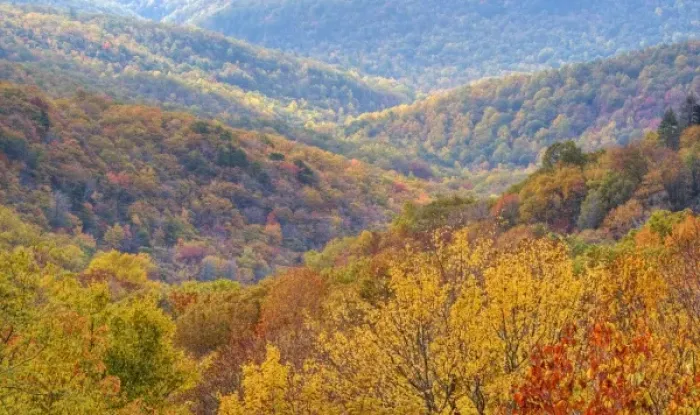 Framed Print : Autumn view of the Blue Ridge Mountains form the Blue Ridge Parkway in North Carolina